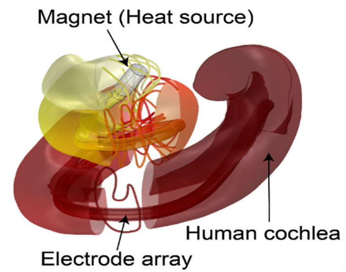 Temperature measurement within cochlea